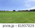 芝生と向日葵の風景 81937029