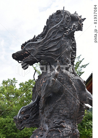 夏の清水寺　祥雲青龍 81937084