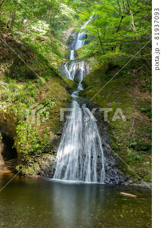【愛知県】　阿寺の七滝 81937093