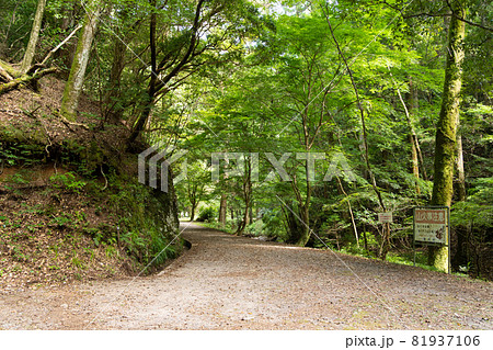 【愛知県】　阿寺の七滝 81937106