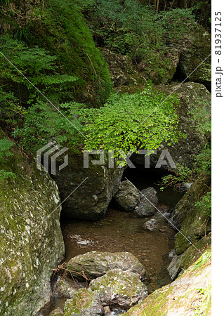 【愛知県】 阿寺の七滝 【愛知県】 阿寺の七滝 81937125