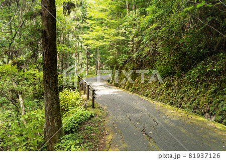 【愛知県】 阿寺の七滝 【愛知県】 阿寺の七滝 81937126