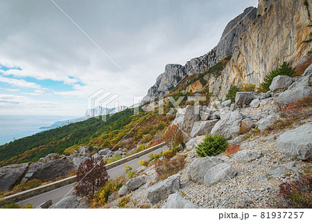 Asphalt road in a summer forest on a cloudy day. Asphalt road in a summer forest on a cloudy day. 81937257