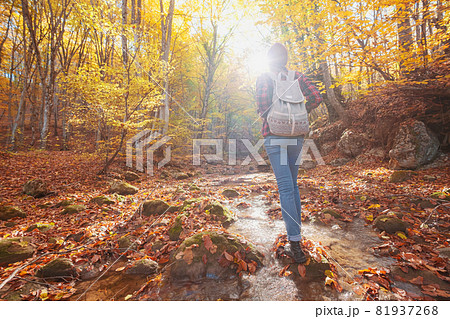 Woman hiking looking at scenic view of autumn foliage landscape. 81937268