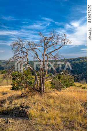 National Nature Reserve Mohelen Snake Steppe, Czech Republic 81937270