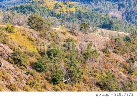 National Nature Reserve Mohelen Snake Steppe, Czech Republic 81937272