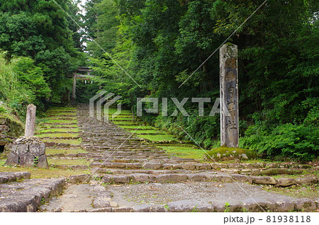 白山平泉寺　精進坂と一の鳥居 81938118