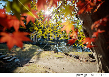 旧島津氏玉里邸庭園 81938168