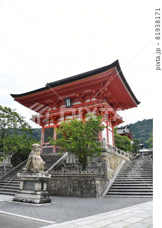 夏の清水寺　仁王門 81938171