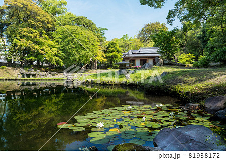 旧島津氏玉里邸庭園 旧島津氏玉里邸庭園 81938172