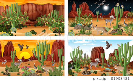 Different scenes with desert forest landscape with animals and plants 81938481