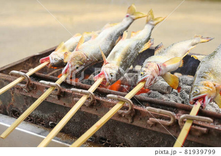 アユの塩焼き 炭火 アユの塩焼き 炭火 81939799