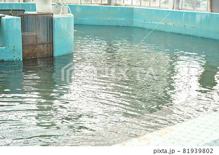 魚の養殖施設 魚の養殖施設 81939802
