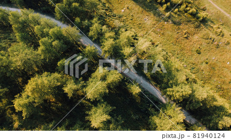 Aerial view of green fields and coniferous forest. Aerial view of green fields and coniferous forest. 81940124