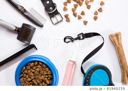 Collar, bowl with feed, leash, delicacy, combs and brushes for dogs. Isolated on white background Collar, bowl with feed, leash, delicacy, combs and brushes for dogs. Isolated on white background 81940259