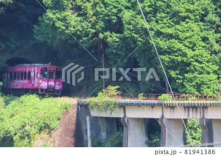 【山口県】田園を走る単行列車　錦川清流線　キハ40 81941386