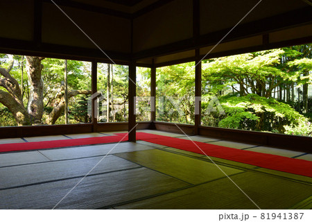 新緑の京都市大原の里、宝泉院の額縁庭園を早朝に拝観 新緑の京都市大原の里、宝泉院の額縁庭園を早朝に拝観 81941387