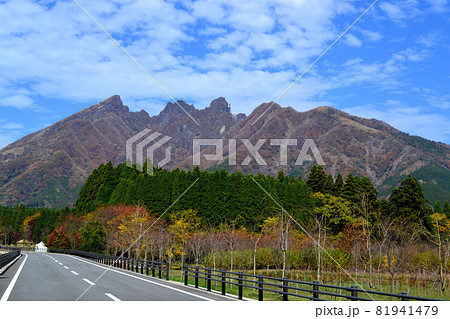 南阿蘇 根子岳周辺の秋の景観 南阿蘇 根子岳周辺の秋の景観 81941479
