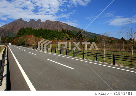 南阿蘇 根子岳周辺の秋の景観 南阿蘇 根子岳周辺の秋の景観 81941481