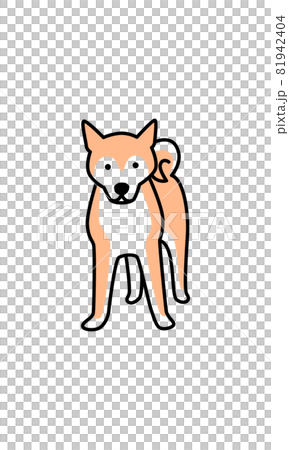 Shiba Inu front 81942404