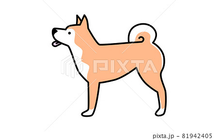 柴犬　横向き 81942405