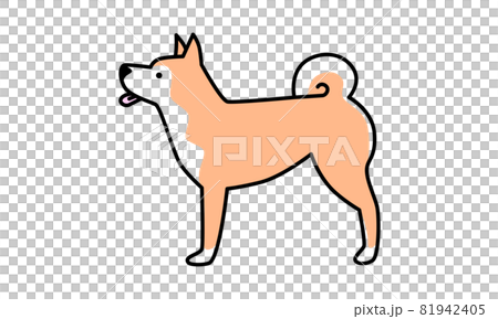 Shiba Inu sideways 81942405
