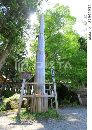 長野県　諏訪大社上社　本宮 81942956