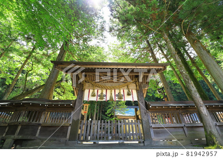 長野県　諏訪大社上社　本宮 81942957