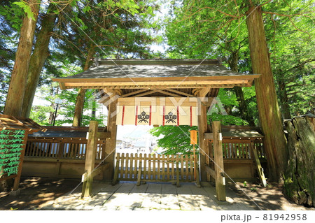 長野県　諏訪大社上社　本宮 81942958