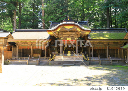 長野県　諏訪大社上社　本宮 81942959