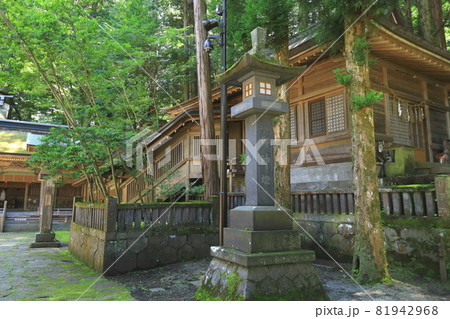 長野県 諏訪大社上社 本宮 長野県 諏訪大社上社 本宮 81942968