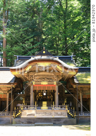 長野県　諏訪大社上社　本宮 81942970