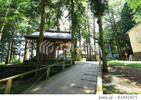 長野県　諏訪大社上社　本宮 81942975