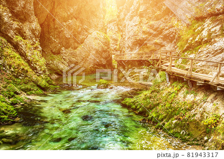 Vintgar gorge, Slovenia 81943317