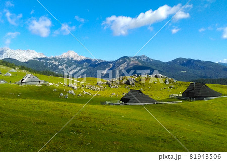 Beautiful picturesque view of the mountains on a sunny day. Beautiful picturesque view of the mountains on a sunny day. 81943506