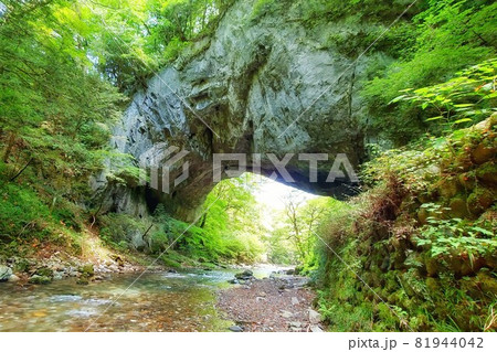 【広島県】森林浴パワースポット　帝釈峡 81944042