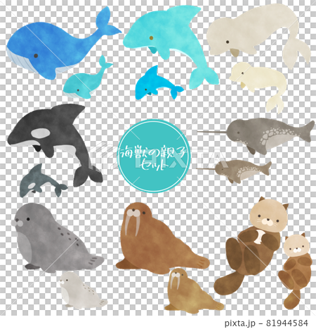 海の生き物セット イラスト 親子 海獣 海の生き物セット イラスト 親子 海獣 81944584