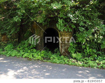 旧赤谷鉱山廃坑【新潟県新発田市】 旧赤谷鉱山廃坑【新潟県新発田市】 81945057