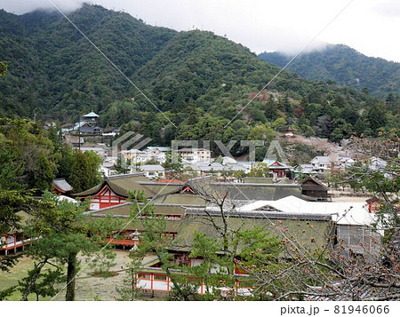 千畳閣から見える宮島町と厳島神社　(広島県宮島町） 81946066
