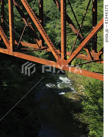 赤谷鉱山飯豊川橋梁跡【新潟県新発田市滝谷】 赤谷鉱山飯豊川橋梁跡【新潟県新発田市滝谷】 81946375