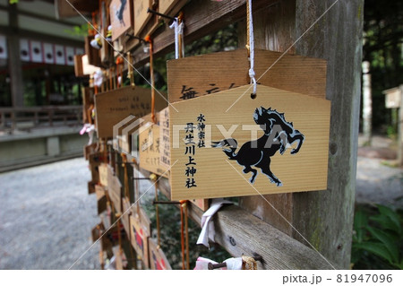 東吉野村 81947096
