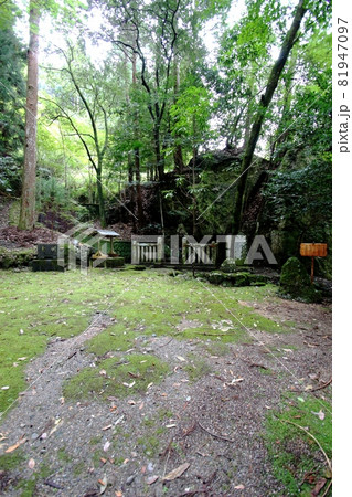 東吉野村 81947097