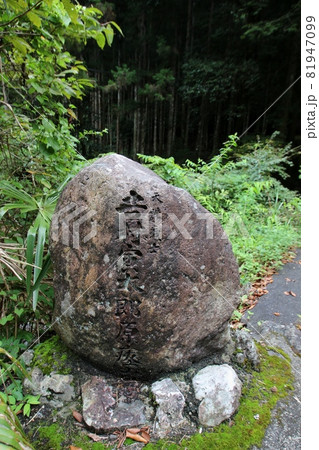 東吉野村 81947099