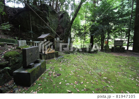 東吉野村 81947105
