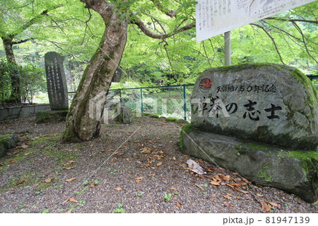 東吉野村 東吉野村 81947139