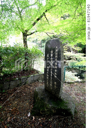 東吉野村 81947140