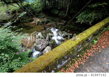 東吉野村 81947142