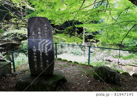 東吉野村 81947145