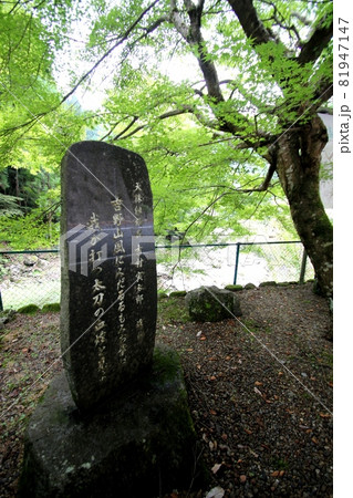 東吉野村 81947147