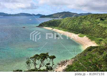 奄美大島　波打ち際の美しい鯨浜 81947150